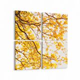 Olla 10565K4 Ağaç Görseli Kare 4'lü Kanvas Tablo (Ölçü: 65X65)