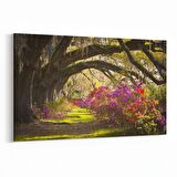 Olla 14629Y Doğa / Manzara Görseli Yatay Kanvas Tablo (Ölçü: 30X20)