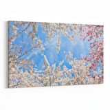 Olla 11010Y Ağaç Görseli Yatay Kanvas Tablo (Ölçü: 150X100)