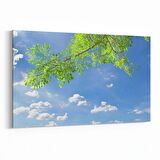 Olla 11004Y Ağaç Görseli Yatay Kanvas Tablo (Ölçü: 70X50)