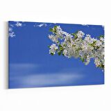 Olla 10780Y Ağaç Görseli Yatay Kanvas Tablo (Ölçü: 90X60)