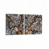 Olla 11061K2Y Ağaç Görseli Kare 2'li Yatay Kanvas Tablo (Ölçü: 85X40)