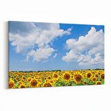 Olla 13715Y Doğa / Manzara Görseli Yatay Kanvas Tablo (Ölçü: 30X20)