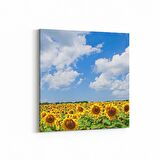 Olla 13715K Doğa / Manzara Görseli Kare Kanvas Tablo (Ölçü: 25X25)