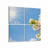 Olla 10465K4 Ağaç Görseli Kare 4'lü Kanvas Tablo (Ölçü: 145X145)