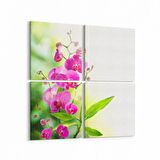 Olla 11685K4 Orkide Çiçek Görseli Kare 4'lü Kanvas Tablo (Ölçü: 65X65)