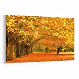 Olla 14088Y Doğa / Manzara Görseli Yatay Kanvas Tablo (Ölçü: 45X30)