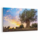Olla 14373Y Doğa / Manzara Görseli Yatay Kanvas Tablo (Ölçü: 30X20)