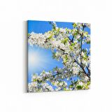 Olla 10486K Ağaç Görseli Kare Kanvas Tablo (Ölçü: 25X25)