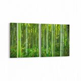 Olla 14377K2Y Doğa / Manzara Görseli Kare 2'li Yatay Kanvas Tablo (Ölçü: 85X40)