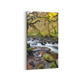 Olla 13170DD Doğa / Manzara Görseli Dikey Dar Kanvas Tablo (Ölçü: 40X80)