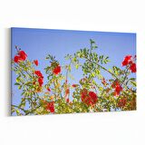 Olla 10707Y Ağaç Görseli Yatay Kanvas Tablo (Ölçü: 150X100)