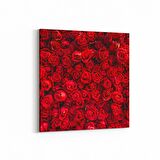 Olla 11603K Çiçek Görseli Kare Kanvas Tablo (Ölçü: 100X100)