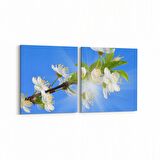 Olla 11041K2Y Ağaç Görseli Kare 2'li Yatay Kanvas Tablo (Ölçü: 145X70)