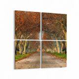 Olla 13353K4 Doğa / Manzara Görseli Kare 4'lü Kanvas Tablo (Ölçü: 145X145)