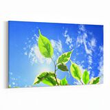 Olla 10988Y Ağaç Görseli Yatay Kanvas Tablo (Ölçü: 150X100)