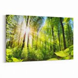 Olla 13987Y Doğa / Manzara Görseli Yatay Kanvas Tablo (Ölçü: 30X20)