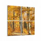 Olla 14576K4 Doğa / Manzara Görseli Kare 4'lü Kanvas Tablo (Ölçü: 125X125)