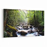 Olla 14033Y Doğa / Manzara Görseli Yatay Kanvas Tablo (Ölçü: 100X70)