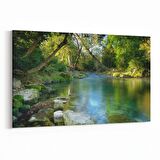 Olla 14611Y Doğa / Manzara Görseli Yatay Kanvas Tablo (Ölçü: 120X80)