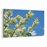 Olla 10912Y Ağaç Görseli Yatay Kanvas Tablo (Ölçü: 150X100)