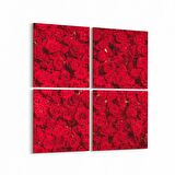 Olla 11639K4 Çiçek Görseli Kare 4'lü Kanvas Tablo (Ölçü: 105X105)