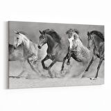 Olla 12462Y Hayvanlar Alemi Görseli Yatay Kanvas Tablo (Ölçü: 150X100)