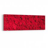 Olla 11639YI Çiçek Görseli Yatay İnce Kanvas Tablo (Ölçü: 90X30)