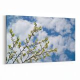 Olla 10669Y Ağaç Görseli Yatay Kanvas Tablo (Ölçü: 45X30)