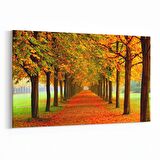 Olla 13230Y Doğa / Manzara Görseli Yatay Kanvas Tablo (Ölçü: 90X60)