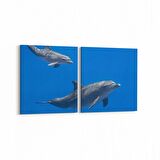 Olla 12951K2Y Deniz / Okyanus Görseli Kare 2'li Yatay Kanvas Tablo (Ölçü: 85X40)