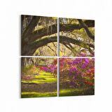 Olla 14629K4 Doğa / Manzara Görseli Kare 4'lü Kanvas Tablo (Ölçü: 65X65)