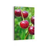 Olla 15303D Gıda Görseli Dikey Kanvas Tablo (Ölçü: 70X105)