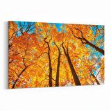 Olla 10628Y Ağaç Görseli Yatay Kanvas Tablo (Ölçü: 45X30)