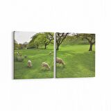 Olla 12498K2Y Hayvanlar Alemi Görseli Kare 2'li Yatay Kanvas Tablo (Ölçü: 145X70)