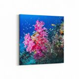 Olla 12104K Akvaryum / Balık Görseli Kare Kanvas Tablo (Ölçü: 25X25)