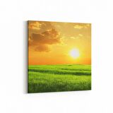 Olla 15995K Günbatımı Görseli Kare Kanvas Tablo (Ölçü: 25X25)