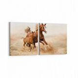 Olla 12532K2Y Hayvanlar Alemi Görseli Kare 2'li Yatay Kanvas Tablo (Ölçü: 65X30)