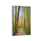 Olla 13445D Doğa / Manzara Görseli Dikey Kanvas Tablo (Ölçü: 70X105)