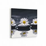 Olla 17060K Spa / Masaj Görseli Kare Kanvas Tablo (Ölçü: 25X25)