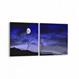 Olla 14789K2Y Gece Gökyüzü Görseli Kare 2'li Yatay Kanvas Tablo (Ölçü: 105X50)