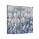 Olla 14255K4 Doğa / Manzara Görseli Kare 4'lü Kanvas Tablo (Ölçü: 145X145)