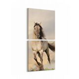 Olla 12464K2D Hayvanlar Alemi Görseli Kare 2'li Dikey Kanvas Tablo (Ölçü: 30X65)