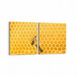 Olla 12561K2Y Hayvanlar Alemi Görseli Kare 2'li Yatay Kanvas Tablo (Ölçü: 145X70)