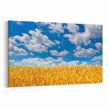 Olla 14105Y Doğa / Manzara Görseli Yatay Kanvas Tablo (Ölçü: 45X30)