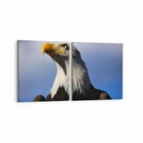 Olla 12593K2Y Hayvanlar Alemi Görseli Kare 2'li Yatay Kanvas Tablo (Ölçü: 85X40)