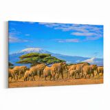 Olla 12661Y Hayvanlar Alemi Görseli Yatay Kanvas Tablo (Ölçü: 120X80)