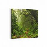 Olla 13455K Doğa / Manzara Görseli Kare Kanvas Tablo (Ölçü: 30X30)