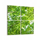 Olla 11045K4 Ağaç Görseli Kare 4'lü Kanvas Tablo (Ölçü: 145X145)