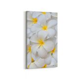 Olla 11633DD Çiçek Görseli Dikey Dar Kanvas Tablo (Ölçü: 30X60)